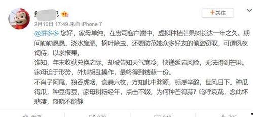 娱乐吃瓜酱文言文怎么说